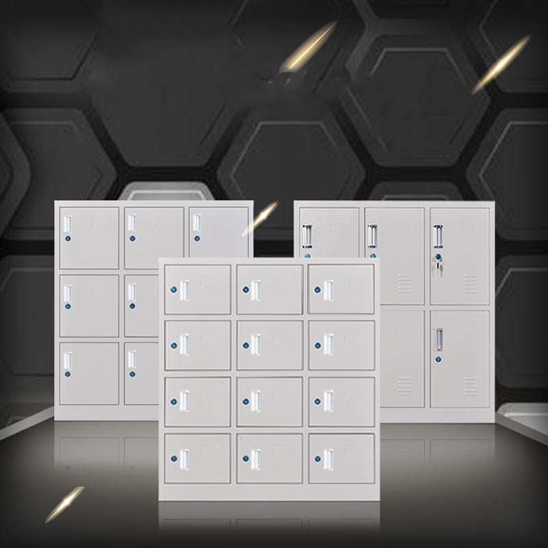 Indoor Non-Hanging Cabinet Contemporary Hinged Door Storage Cabinet