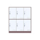 Indoor Non-Hanging Cabinet Contemporary Hinged Door Storage Cabinet