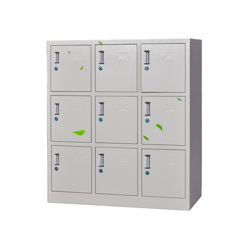 Indoor Non-Hanging Cabinet Contemporary Hinged Door Storage Cabinet