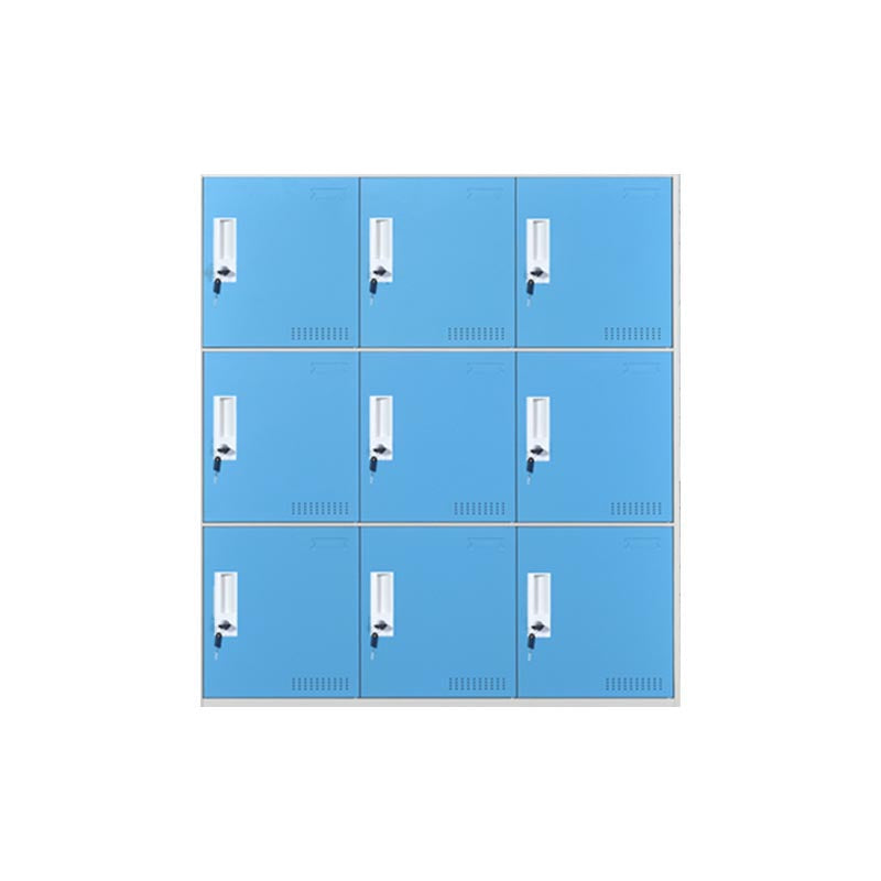 Indoor Non-Hanging Cabinet Contemporary Hinged Door Storage Cabinet