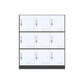 Indoor Non-Hanging Cabinet Contemporary Hinged Door Storage Cabinet