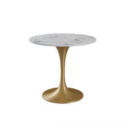 Contemporary Round Dining Table White Stone Top Table for Home Without Chairs Clearhalo 'Dining Tables & Seating' 'Dining Tables' 'dining_table' 'furn' 'furn_dining_table' 'Furniture' 'Kitchen & Dining Furniture' 6391164