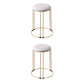 Metal Frame Pouf Plain Round Contemporary Velvet Fade Resistant Ottoman White 2 Piece Set Clearhalo 'furn' 'furn_ottomans_poufs' 'Furniture' 'Living Room Furniture' 'Ottomans & Poufs' 'ottomans_poufs' 6394071