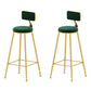 Upholstered Counter Stool Glam Style Low Back Bar Stool with Gold Frame Green 2 Piece Set Clearhalo 'Bar Furniture' 'Bar Stools' 'bar_stools' 'furn' 'furn_bar_stools' 'Furniture' 'Kitchen & Dining Furniture' 6394859