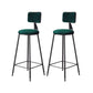 Contemporary Style Barstool Round Low Back Bar Stool with Black Frame Green 2 Piece Set Counter Stool(26"H) Clearhalo 'Bar Furniture' 'Bar Stools' 'bar_stools' 'furn' 'furn_bar_stools' 'Furniture' 'Kitchen & Dining Furniture' 6394983