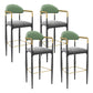 Modern Armless Backrest Counter Stool Iron Bar Stool with Cushion for Dining Room