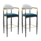 Modern Armless Backrest Counter Stool Iron Bar Stool with Cushion for Dining Room