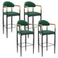 Modern Armless Backrest Counter Stool Iron Bar Stool with Cushion for Dining Room