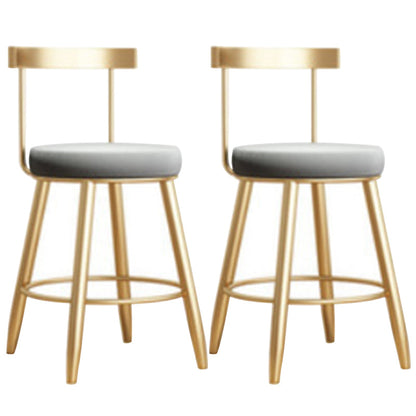 Glam Armless Backrest Counter Stool Iron Bar Stool with Cushion and Pedal for Kitchen Use 2 Piece Set Short Stool(18"H) Clearhalo 'Bar Furniture' 'Bar Stools' 'bar_stools' 'furn' 'furn_bar_stools' 'Furniture' 'Kitchen & Dining Furniture' 6395487