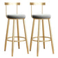 Glam Armless Backrest Counter Stool Iron Bar Stool with Cushion and Pedal for Kitchen Use 2 Piece Set Clearhalo 'Bar Furniture' 'Bar Stools' 'bar_stools' 'furn' 'furn_bar_stools' 'Furniture' 'Kitchen & Dining Furniture' 6395494