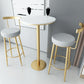 Glam Armless Backrest Counter Stool Iron Bar Stool with Cushion and Pedal for Kitchen Use Clearhalo 'Bar Furniture' 'Bar Stools' 'bar_stools' 'furn' 'furn_bar_stools' 'Furniture' 'Kitchen & Dining Furniture' 6395501