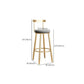 Glam Armless Backrest Counter Stool Iron Bar Stool with Cushion and Pedal for Kitchen Use Clearhalo 'Bar Furniture' 'Bar Stools' 'bar_stools' 'furn' 'furn_bar_stools' 'Furniture' 'Kitchen & Dining Furniture' 6395506