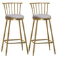Glam Backrest Armless Counter Stool Iron Bar Stool with Velvet Cushion and Pedal for Cafe Gray 2 Piece Set Bar Stool(30"H) Clearhalo 'Bar Furniture' 'Bar Stools' 'bar_stools' 'furn' 'furn_bar_stools' 'Furniture' 'Kitchen & Dining Furniture' 6395536