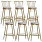 Glam Backrest Armless Counter Stool Iron Bar Stool with Velvet Cushion and Pedal for Cafe Gray 6 Piece Set Bar Stool(30"H) Clearhalo 'Bar Furniture' 'Bar Stools' 'bar_stools' 'furn' 'furn_bar_stools' 'Furniture' 'Kitchen & Dining Furniture' 6395538