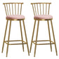 Glam Backrest Armless Counter Stool Iron Bar Stool with Velvet Cushion and Pedal for Cafe Pink 2 Piece Set Bar Stool(30"H) Clearhalo 'Bar Furniture' 'Bar Stools' 'bar_stools' 'furn' 'furn_bar_stools' 'Furniture' 'Kitchen & Dining Furniture' 6395561