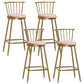 Glam Backrest Armless Counter Stool Iron Bar Stool with Velvet Cushion and Pedal for Cafe Pink 4 Piece Set Bar Stool(30"H) Clearhalo 'Bar Furniture' 'Bar Stools' 'bar_stools' 'furn' 'furn_bar_stools' 'Furniture' 'Kitchen & Dining Furniture' 6395562
