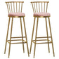 Glam Backrest Armless Counter Stool Iron Bar Stool with Velvet Cushion and Pedal for Cafe Pink 2 Piece Set Bar Stool(33"H) Clearhalo 'Bar Furniture' 'Bar Stools' 'bar_stools' 'furn' 'furn_bar_stools' 'Furniture' 'Kitchen & Dining Furniture' 6395566