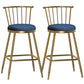 Glam Backrest Armless Counter Stool Iron Bar Stool with Velvet Cushion and Pedal for Cafe Blue 2 Piece Set Counter Stool(26"H) Clearhalo 'Bar Furniture' 'Bar Stools' 'bar_stools' 'furn' 'furn_bar_stools' 'Furniture' 'Kitchen & Dining Furniture' 6395581