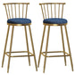 Glam Backrest Armless Counter Stool Iron Bar Stool with Velvet Cushion and Pedal for Cafe Blue 2 Piece Set Bar Stool(30"H) Clearhalo 'Bar Furniture' 'Bar Stools' 'bar_stools' 'furn' 'furn_bar_stools' 'Furniture' 'Kitchen & Dining Furniture' 6395586