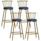 Glam Backrest Armless Counter Stool Iron Bar Stool with Velvet Cushion and Pedal for Cafe Blue 4 Piece Set Bar Stool(30"H) Clearhalo 'Bar Furniture' 'Bar Stools' 'bar_stools' 'furn' 'furn_bar_stools' 'Furniture' 'Kitchen & Dining Furniture' 6395587