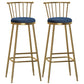 Glam Backrest Armless Counter Stool Iron Bar Stool with Velvet Cushion and Pedal for Cafe Blue 2 Piece Set Bar Stool(33"H) Clearhalo 'Bar Furniture' 'Bar Stools' 'bar_stools' 'furn' 'furn_bar_stools' 'Furniture' 'Kitchen & Dining Furniture' 6395591