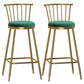 Glam Backrest Armless Counter Stool Iron Bar Stool with Velvet Cushion and Pedal for Cafe Green 2 Piece Set Bar Stool(30"H) Clearhalo 'Bar Furniture' 'Bar Stools' 'bar_stools' 'furn' 'furn_bar_stools' 'Furniture' 'Kitchen & Dining Furniture' 6395611