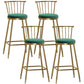 Glam Backrest Armless Counter Stool Iron Bar Stool with Velvet Cushion and Pedal for Cafe Green 4 Piece Set Bar Stool(30"H) Clearhalo 'Bar Furniture' 'Bar Stools' 'bar_stools' 'furn' 'furn_bar_stools' 'Furniture' 'Kitchen & Dining Furniture' 6395612