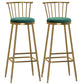 Glam Backrest Armless Counter Stool Iron Bar Stool with Velvet Cushion and Pedal for Cafe Green 2 Piece Set Bar Stool(33"H) Clearhalo 'Bar Furniture' 'Bar Stools' 'bar_stools' 'furn' 'furn_bar_stools' 'Furniture' 'Kitchen & Dining Furniture' 6395616