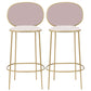 Contemporary Backrest Bar Stools Metal Barstool with Gold Legs Pink 2 Piece Set Clearhalo 'Bar Furniture' 'Bar Stools' 'bar_stools' 'furn' 'furn_bar_stools' 'Furniture' 'Kitchen & Dining Furniture' 6395797