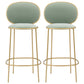 Contemporary Backrest Bar Stools Metal Barstool with Gold Legs Green 2 Piece Set Clearhalo 'Bar Furniture' 'Bar Stools' 'bar_stools' 'furn' 'furn_bar_stools' 'Furniture' 'Kitchen & Dining Furniture' 6395805