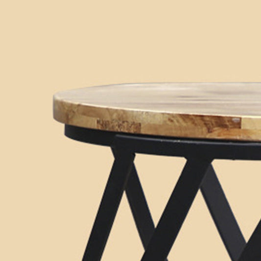 Drum End Table with Storage Solid Wood Round Top and Metal Base Clearhalo 'Coffee & Accent Tables' 'End & Side Tables' 'end_side_tables' 'furn' 'furn_end_side_tables' 'Furniture' 'Living Room Furniture' 6411578