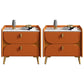 2 Drawer Contemporary Bed Nightstand Night Table ,19.7" Tall Orange 2 Piece Set Clearhalo 'Bedroom Furniture' 'furn' 'furn_night_stand' 'Furniture' 'night_stand' 'Nightstands' 6427759