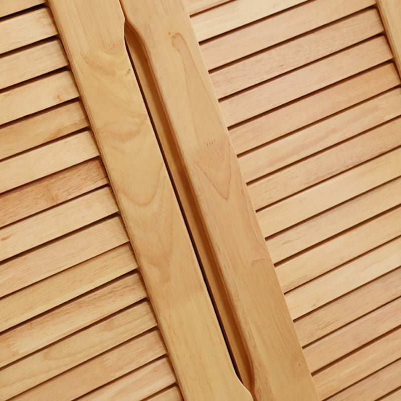 Modern Cabinet Rectangle With Doors Solid Wood with Shelves Accent Cabinet