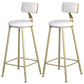 Glam Armless Backrest Counter Stool Iron Bar Stool with Velvet Cushion and Pedal for Cafe White 2 Piece Set Clearhalo 'Bar Furniture' 'Bar Stools' 'bar_stools' 'furn' 'furn_bar_stools' 'Furniture' 'Kitchen & Dining Furniture' 6471737