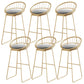 Contemporary Backrest Bar Stools Metal Barstool with Footrest White-Gold 6 Piece Set Clearhalo 'Bar Furniture' 'Bar Stools' 'bar_stools' 'furn' 'furn_bar_stools' 'Furniture' 'Kitchen & Dining Furniture' 6471785