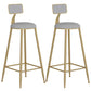 Contemporary Backrest Bar Stools Metal Barstool with Gold Footrest