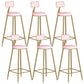 Contemporary Backrest Bar Stools Metal Barstool with Gold Footrest