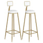 Contemporary Backrest Bar Stools Metal Barstool with Gold Footrest
