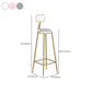 Contemporary Backrest Bar Stools Metal Barstool with Gold Footrest