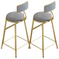 Glam Round Bar Stools Armless Backrest Dining Stools with Cushion Gray 2 Piece Set Clearhalo 'Bar Furniture' 'Bar Stools' 'bar_stools' 'furn' 'furn_bar_stools' 'Furniture' 'Kitchen & Dining Furniture' 6471982