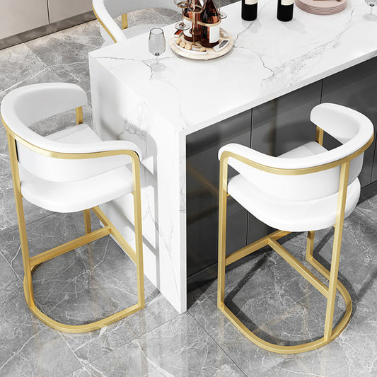Glam Style Leather Bar Stool Backrest Counter Stool for Bristol