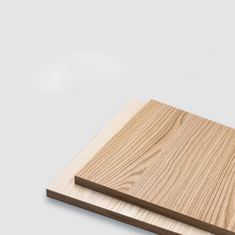 Contemporary TV Stand Enclosed Storage White Wood TV Media Console with Storage Clearhalo 'furn' 'furn_tv_stands_entertainment_centers' 'Furniture' 'Living Room Furniture' 'TV Stands & Entertainment Centers' 'TV Stands & Media Storage Furniture' 'tv_stands_entertainment_centers' 6486316