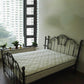 Metal Open-Frame Bed Solid Color Slat Bed with Custom Gold Leg