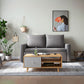 Faux Leather Sofa Bed with 2 Pillows Contemporary Seating 2 Seater