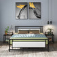 Modern Metal Open-Frame Bed Mattress Included Standard Bed with Custom Gold Legs