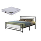Modern Metal Open-Frame Bed Mattress Included Standard Bed with Custom Gold Legs