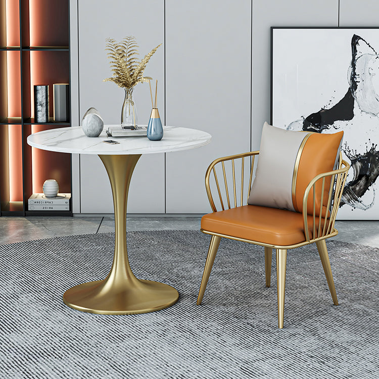 Round Dining Table with Metal Pedestal Modern Table for Home