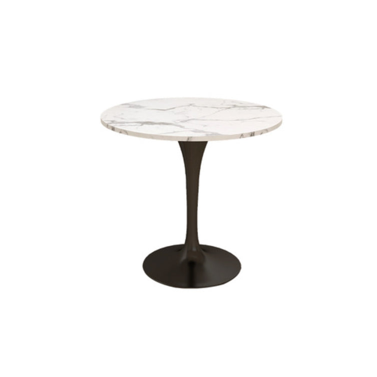 Modern Round Dining Table for Kitchen Dinette Table with Metal Tulip White Black Clearhalo 'Dining Tables & Seating' 'Dining Tables' 'dining_table' 'furn' 'furn_dining_table' 'Furniture' 'Kitchen & Dining Furniture' 6513746