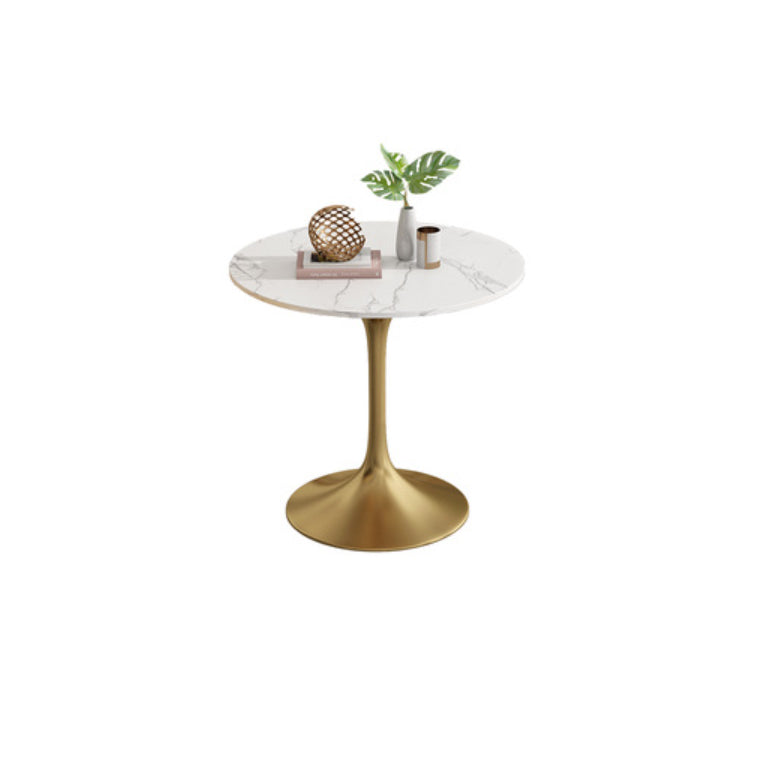 Modern Round Dining Table for Kitchen Dinette Table with Metal Tulip White Gold 31.5"L x 31.5"W x 29.5"H Clearhalo 'Dining Tables & Seating' 'Dining Tables' 'dining_table' 'furn' 'furn_dining_table' 'Furniture' 'Kitchen & Dining Furniture' 6513750