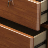 Cassa di deposito in legno di gomma contemporanea petto marrone con cassetti